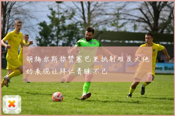 胡梅尔斯称赞塞巴里挑射难度大他的表现让拜仁青睐不已