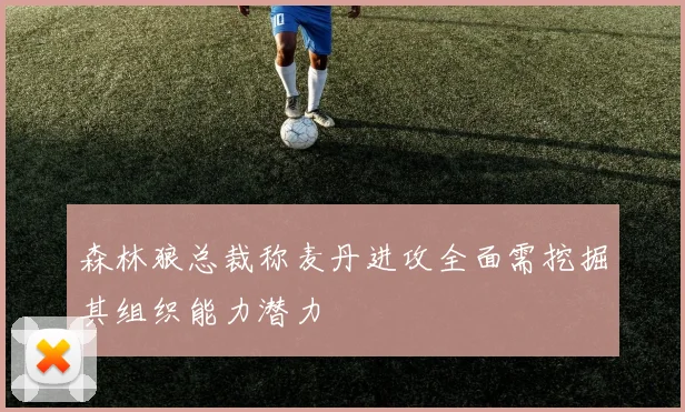 森林狼总裁称麦丹进攻全面需挖掘其组织能力潜力