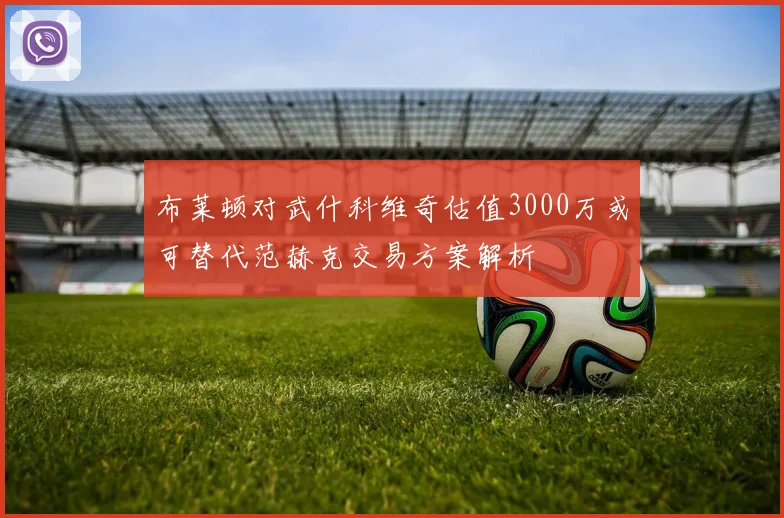 布莱顿对武什科维奇估值3000万或可替代范赫克交易方案解析